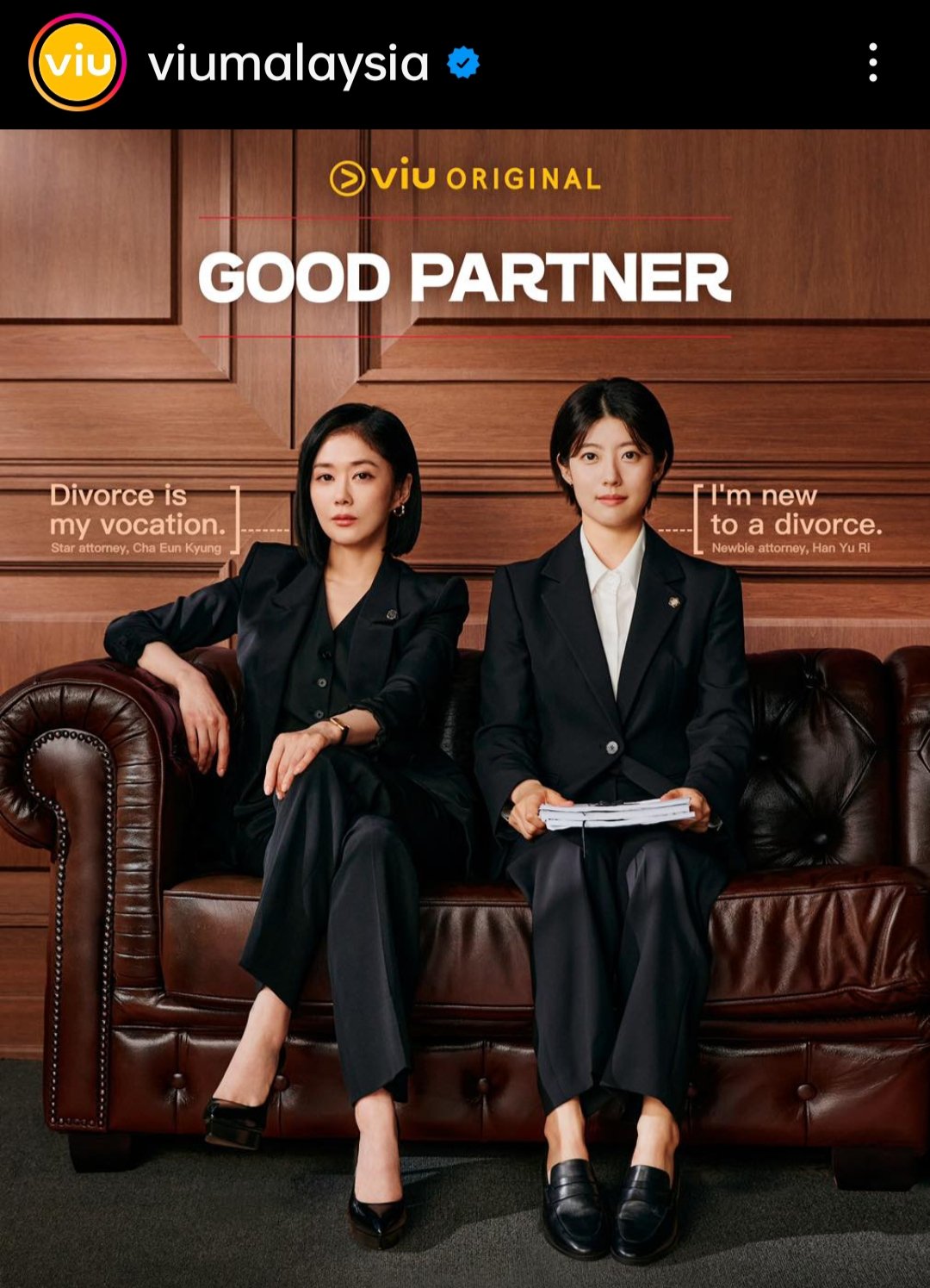 You Are Currently Viewing Good Partner S01 (Complete) | Korean Drama