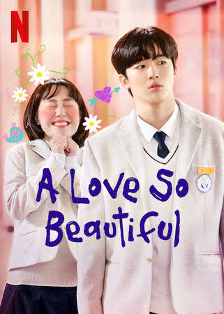 You Are Currently Viewing A Love So Beautiful S01 (Complete) | Korean Drama